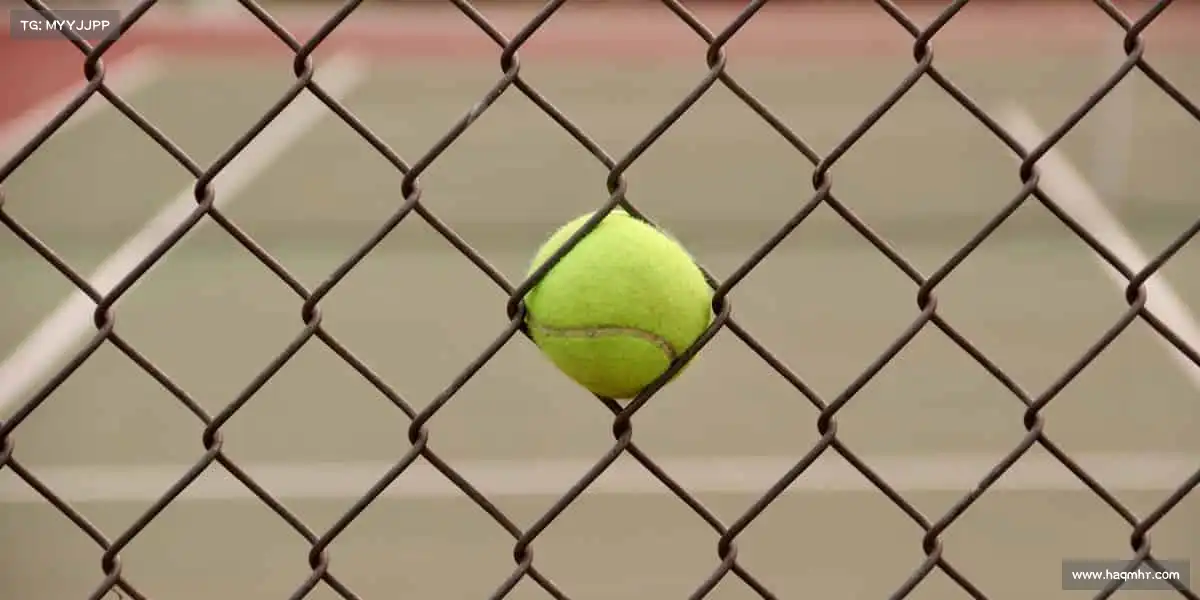 一飞冲天300倍——以运动为笔,书写健康活力人生!🏋️♀️